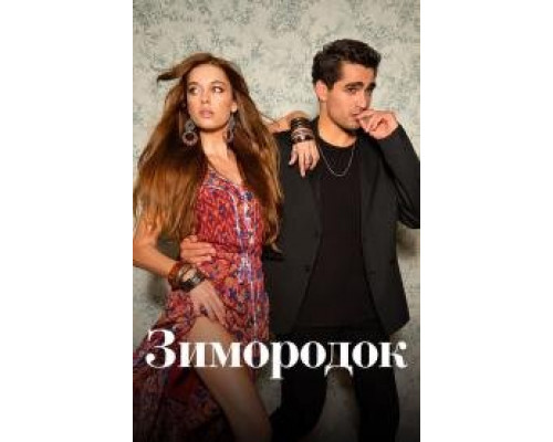 Зимородок сериал (2022) Зимородок сериал (2022)