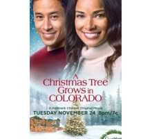 A Christmas Tree Grows in Colorado (2020)
