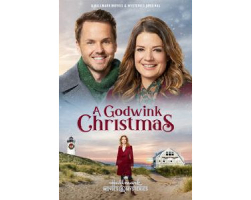 A Godwink Christmas (2018) A Godwink Christmas (2018)
