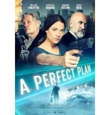 A Perfect Plan (2020)