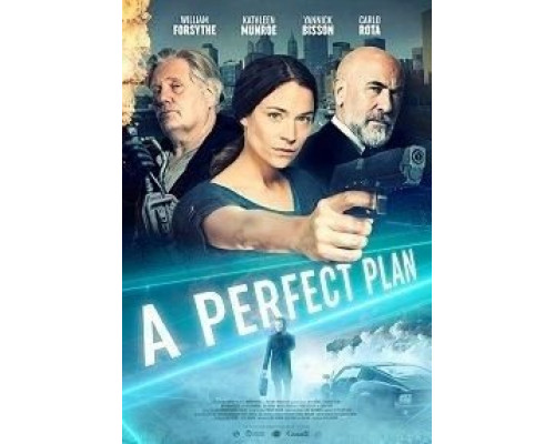 A Perfect Plan (2020) A Perfect Plan (2020)