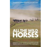All the Wild Horses (2017)