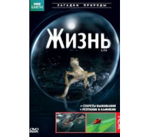BBC: Жизнь 1 сезон  (2009)