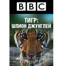 BBC: Тигр — Шпион джунглей (2008) (2008)