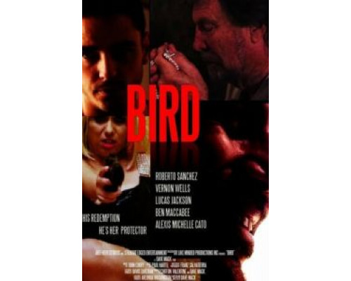 Bird (2020) Bird (2020)