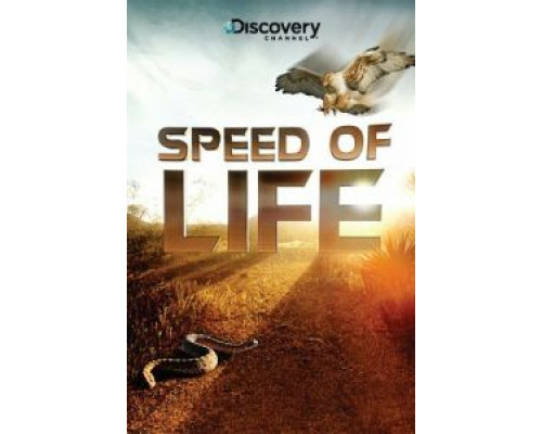 Discovery: Скорость жизни (2010) (2010) Discovery: Скорость жизни (2010) (2010)