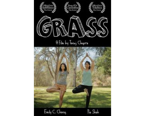 Grass (2017) Grass (2017)