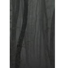 Katafigio II: The Ice Path (2018)