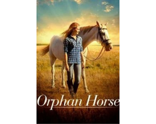 Orphan Horse (2018) Orphan Horse (2018)