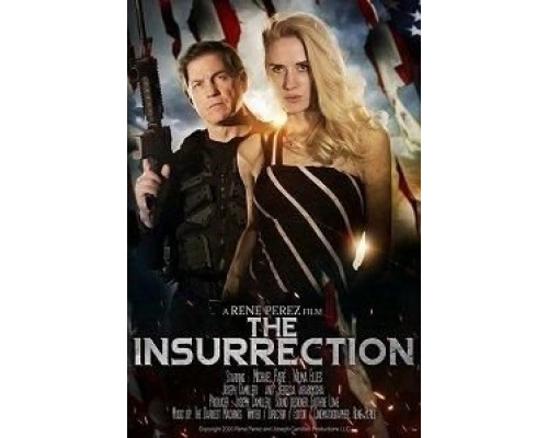 The Insurrection (2020) The Insurrection (2020)