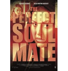 The Perfect Soulmate (2017)