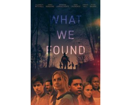 What We Found (2020) What We Found (2020)