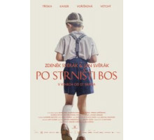 Босиком по стерне (2017)