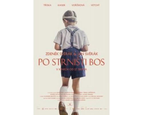 Босиком по стерне (2017) Босиком по стерне (2017)