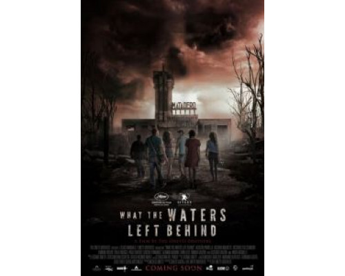 Что воды оставили позади (2017) Что воды оставили позади (2017)