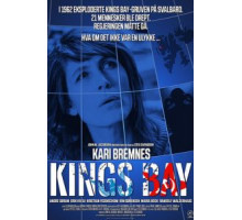 Дело «Кингс Бэй» (2017)