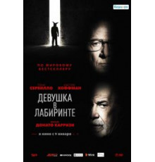 Девушка в лабиринте (2020)