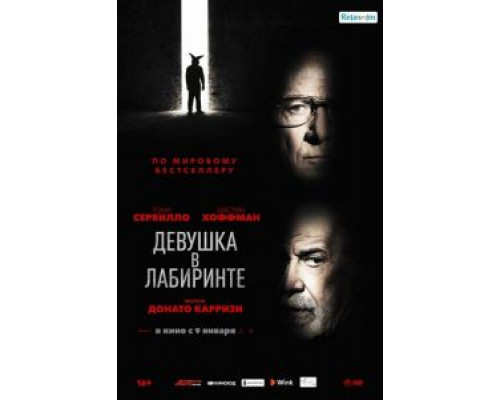Девушка в лабиринте (2020) Девушка в лабиринте (2020)