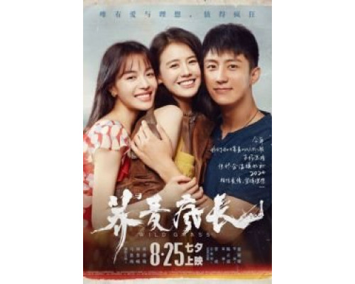Дикие травы (2020) Дикие травы (2020)
