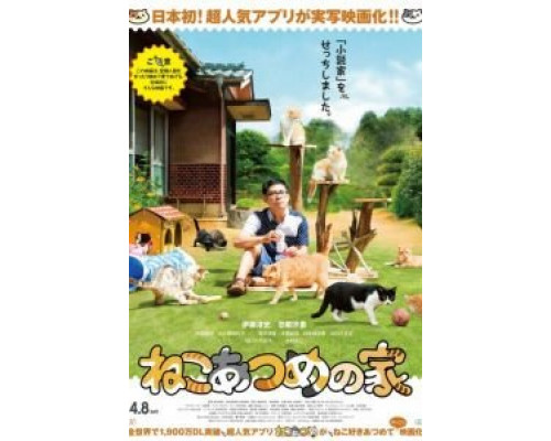 Дом кошек (2017) Дом кошек (2017)