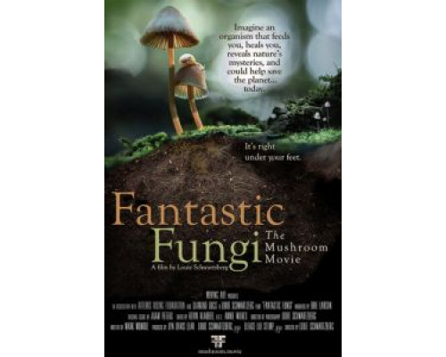 Фантастические грибы (2019) Фантастические грибы (2019)