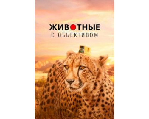 Животные с объективом (2018) (2018) Животные с объективом (2018) (2018)