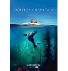 Голубая планета 2 1 сезон  (2017)