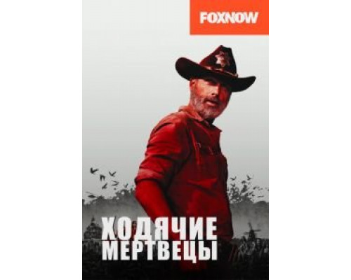 Ходячие мертвецы 11 сезон (2010) Ходячие мертвецы 11 сезон (2010)