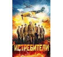 Истребители 1-2 сезон  (2013)