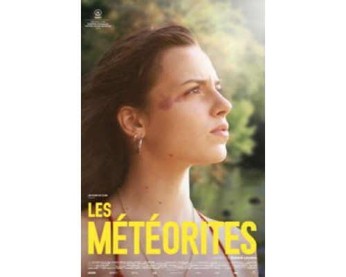 Метеориты (2020) Метеориты (2020)