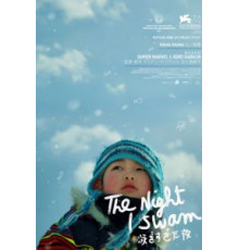 Ночь, когда я плавал (2017)