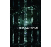 Однажды ночью 1 сезон (2016)
