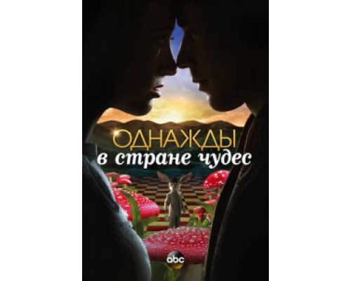 Однажды в стране чудес 1 сезон (2013) Однажды в стране чудес 1 сезон (2013)