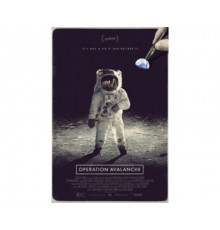 Операция «Лавина» 2016