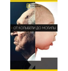 От колыбели до могилы (2017)