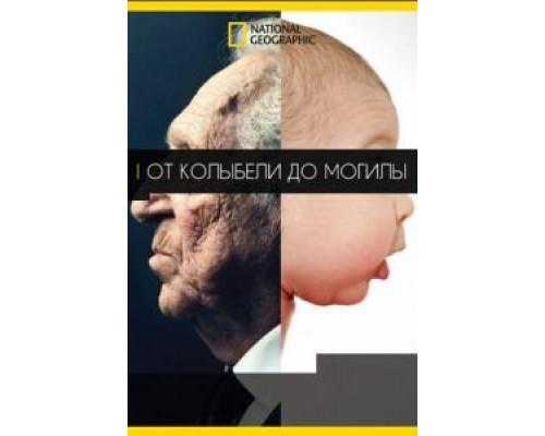 От колыбели до могилы 2017 смотреть онлайн От колыбели до могилы 2017 смотреть онлайн