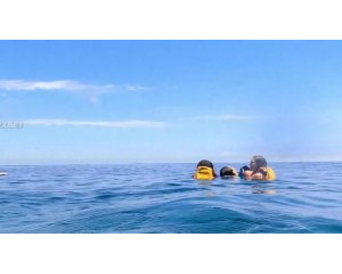 Открытое море: Игра на выживание (2024) смотреть фильм Открытое море: Игра на выживание (2024) смотреть фильм