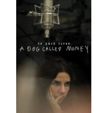 Пи Джей Харви: A Dog Called Money (2019)