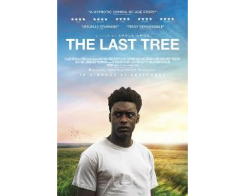 Последнее дерево (2019) Последнее дерево (2019)