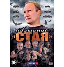 Позывной «Стая» (2013) (2013)