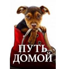 Путь домой (2019)