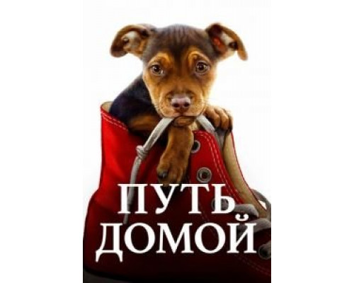 Путь домой (2019) Путь домой (2019)