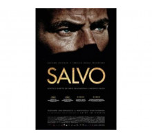 Сальво 2013