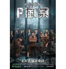 Шторм P (2019)
