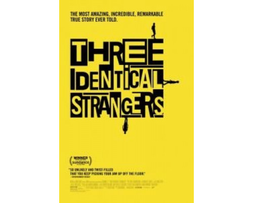 Три одинаковых незнакомца (2018) Три одинаковых незнакомца (2018)