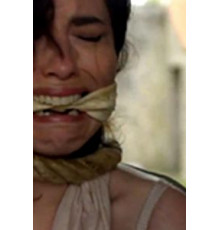 Убийства на острове Бель-Иль (2019)