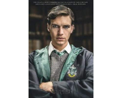 Волан-де-Морт: Корни наследника (2018) Волан-де-Морт: Корни наследника (2018)
