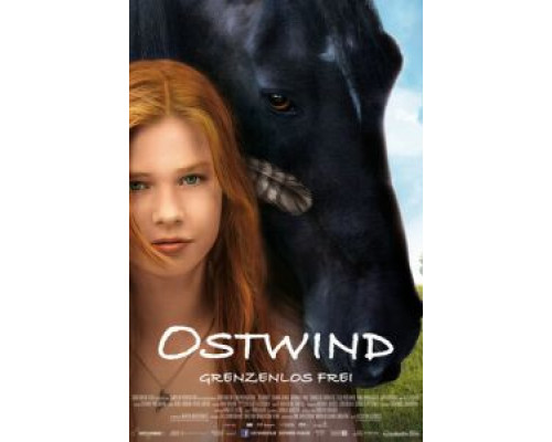 Восточный ветер 2013 смотреть онлайн Восточный ветер 2013 смотреть онлайн