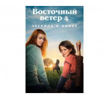 Восточный ветер 4: Легенда о Воине 2019