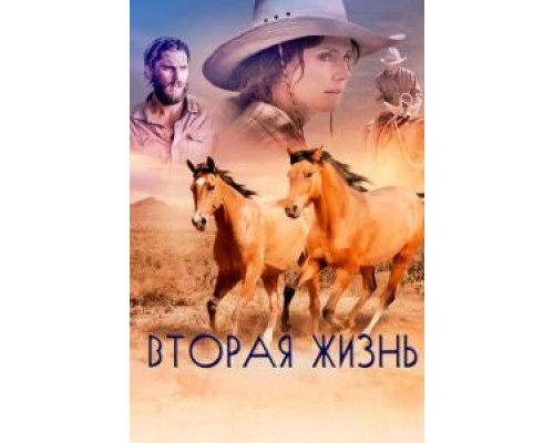 Вторая жизнь (2017) Вторая жизнь (2017)